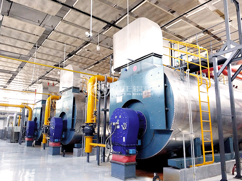 14MW WNS系列冷凝式燃?xì)忮仩t項目