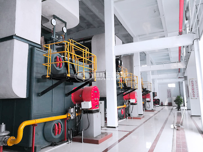 14MW SZS系列冷凝式燃?xì)鉄崴仩t項目
